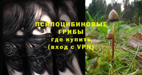 каннабис Михайловка