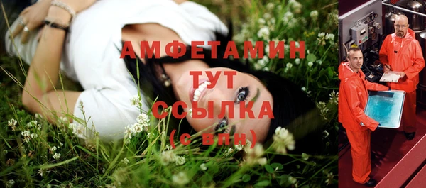 мдпв Михайловск