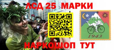 крисы Аргун
