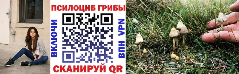 цена наркотик  hydra ССЫЛКА  Псилоцибиновые грибы MAGIC MUSHROOMS  Белая Калитва 